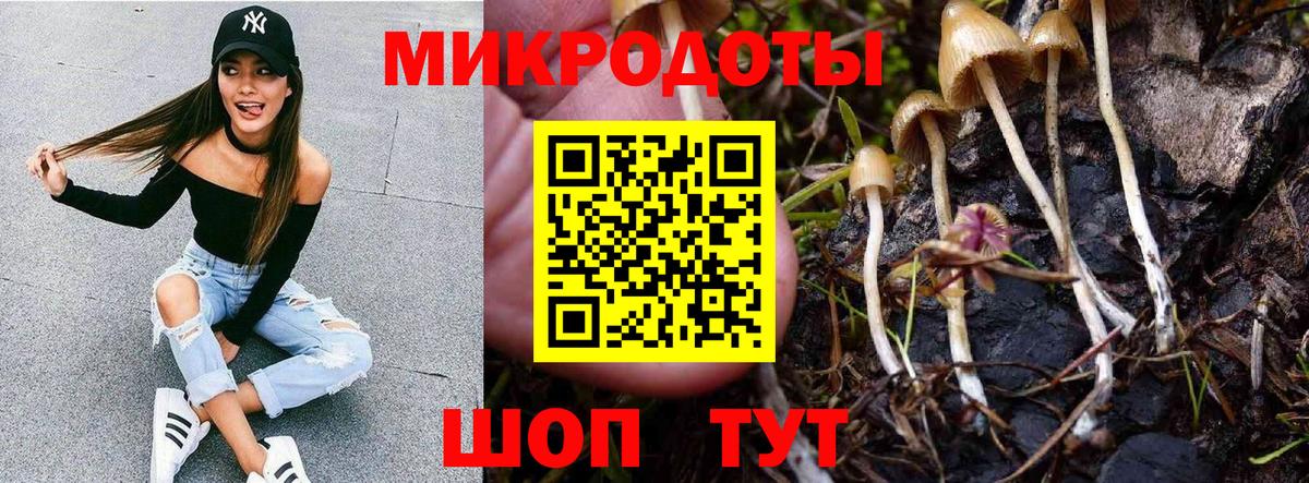 Галлюциногенные грибы мухоморы  Вход с VPN  Волоколамск 